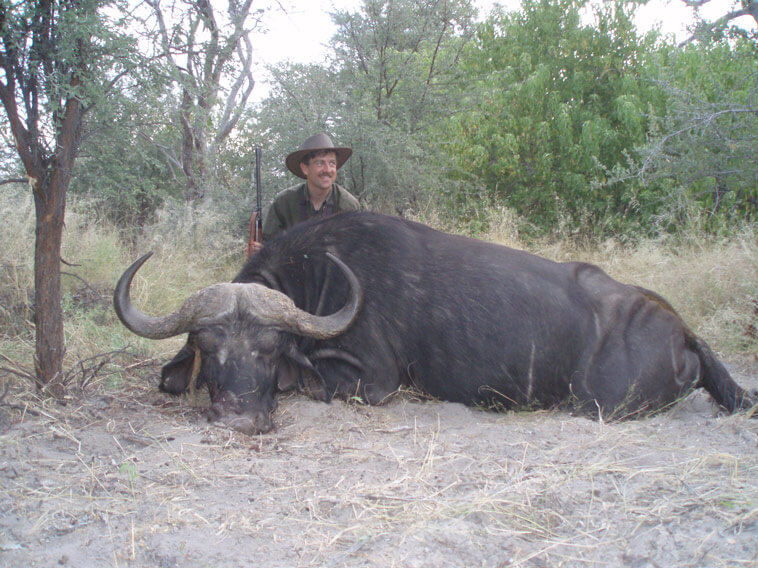cape buffalo chris dorseey namibia