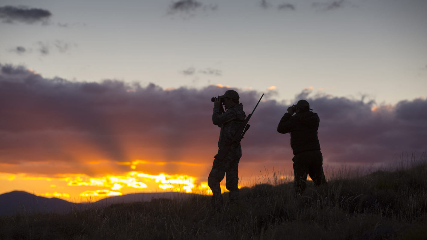 hunting sunset